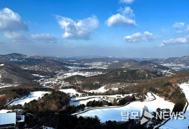 기사이미지